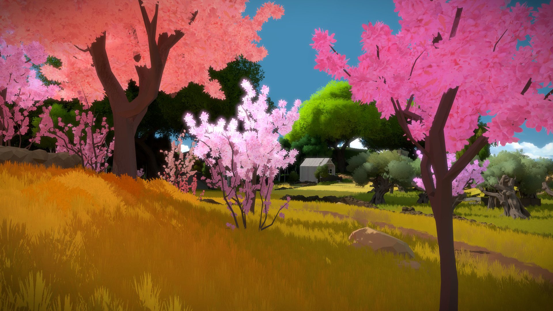 The Witness no Steam