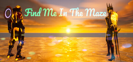 Find Me In The Maze Cover Image