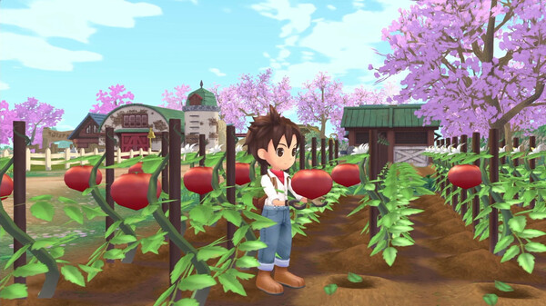 Скриншот из STORY OF SEASONS: A Wonderful Life