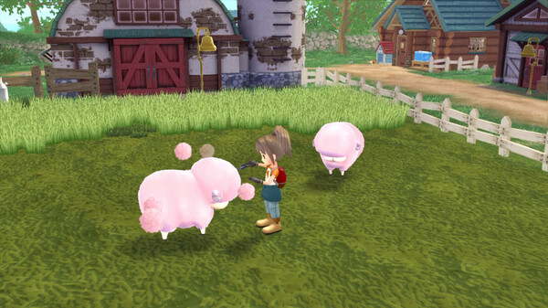 Скриншот из STORY OF SEASONS: A Wonderful Life