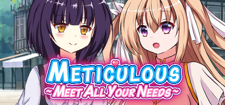 Meticulous～Meet All Your Needs❤️ steam charts