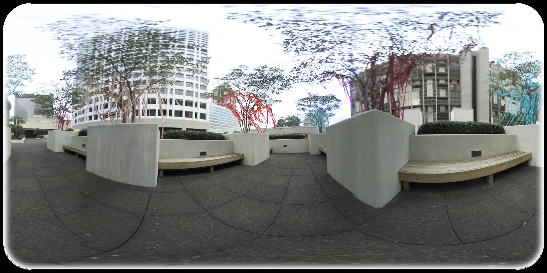 Exhale XR - Botanical Dreams #3