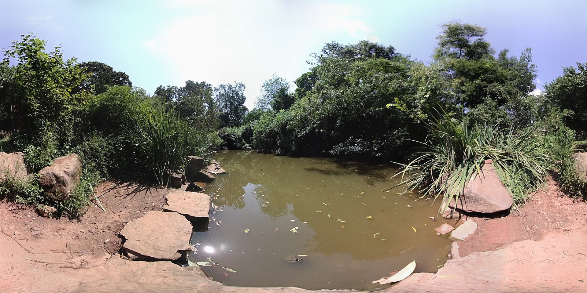 Exhale XR - Park Day PC gameplay screenshot 2 of 5