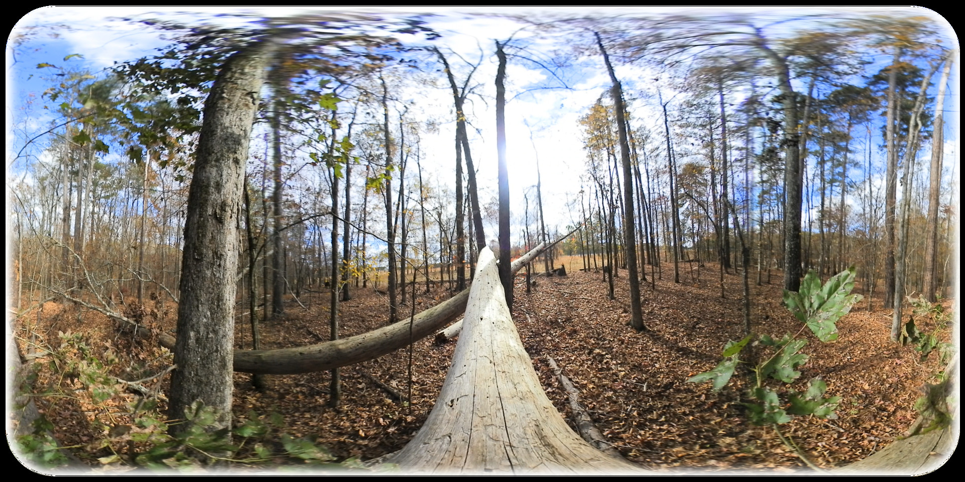 Exhale XR - Fall Journey #2