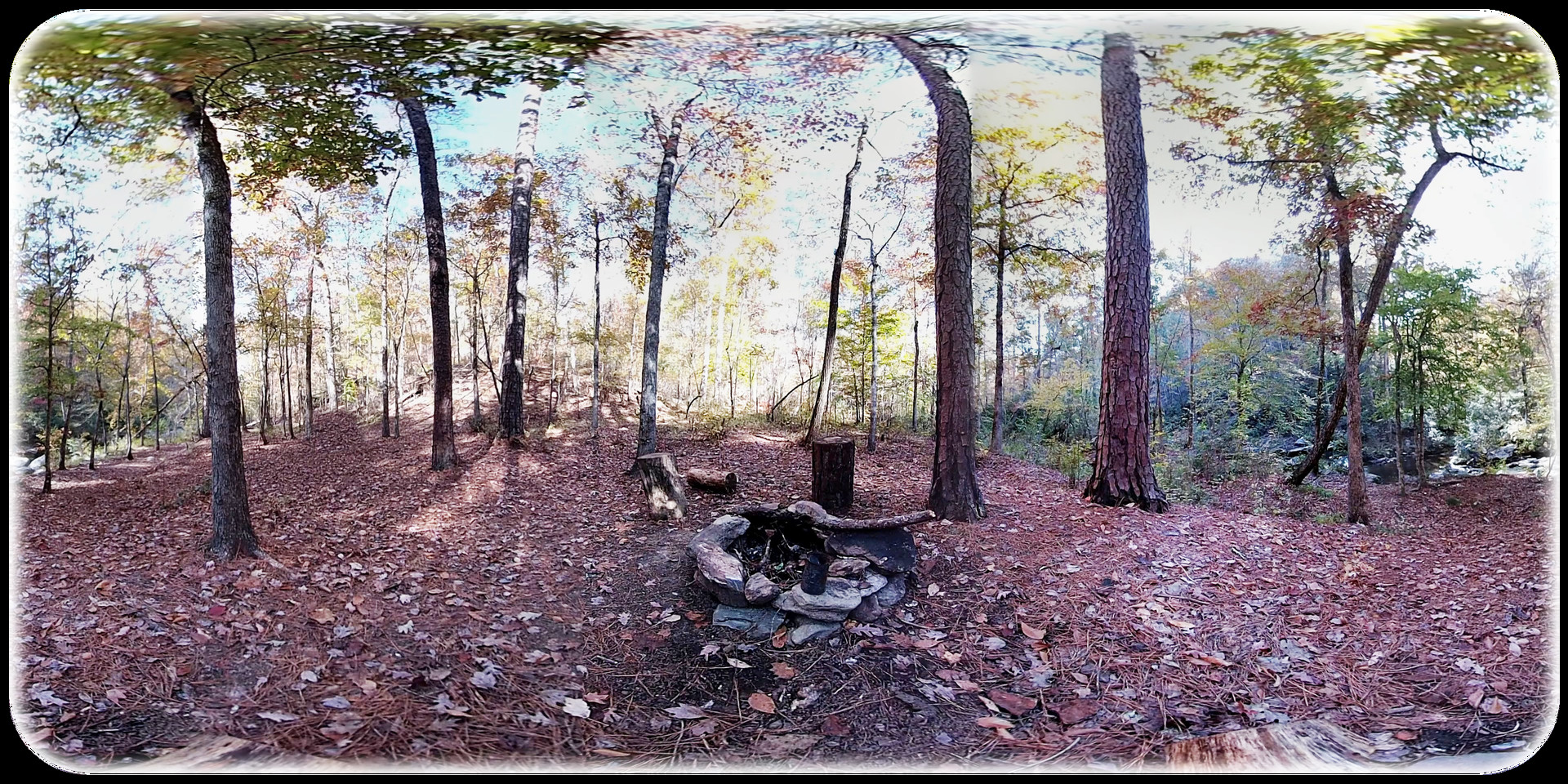 Exhale XR - Magical Woodlands #2