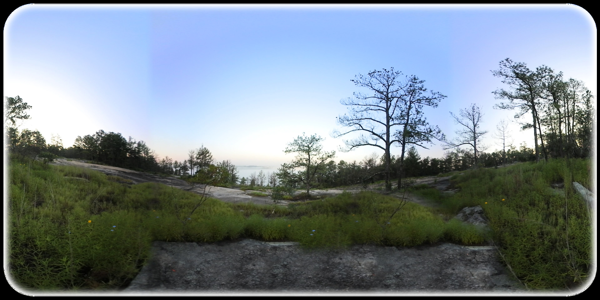 Exhale XR - Magical Woodlands #3