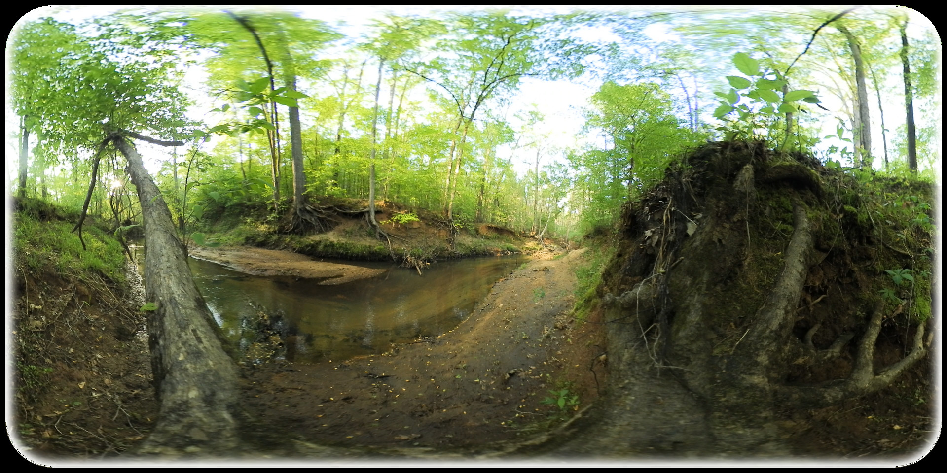 Exhale XR - Magical Woodlands #0