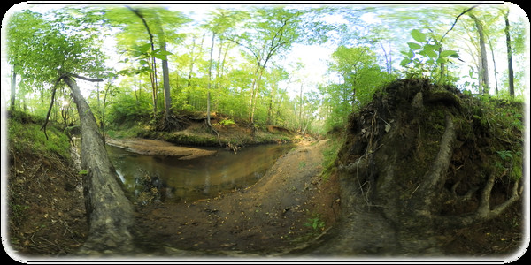 Exhale XR - Magical Woodlands Exhale XR - Magical Woodlands