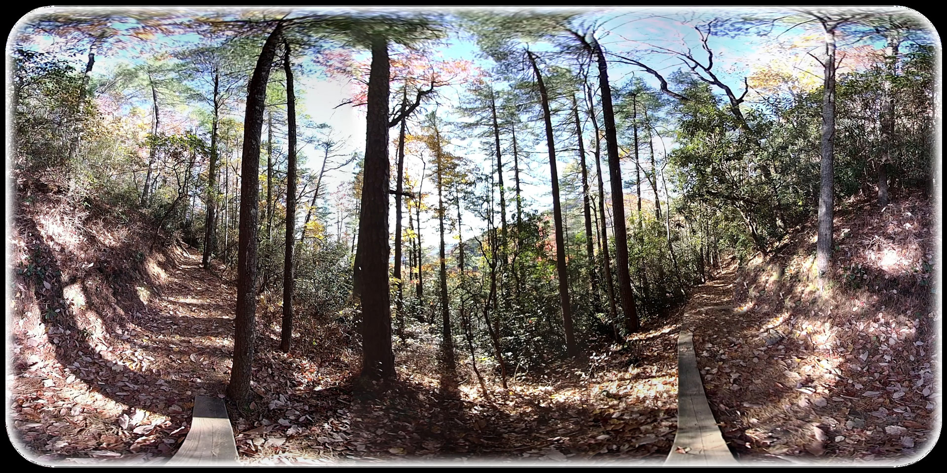 Exhale XR - Peaceful Moment #0