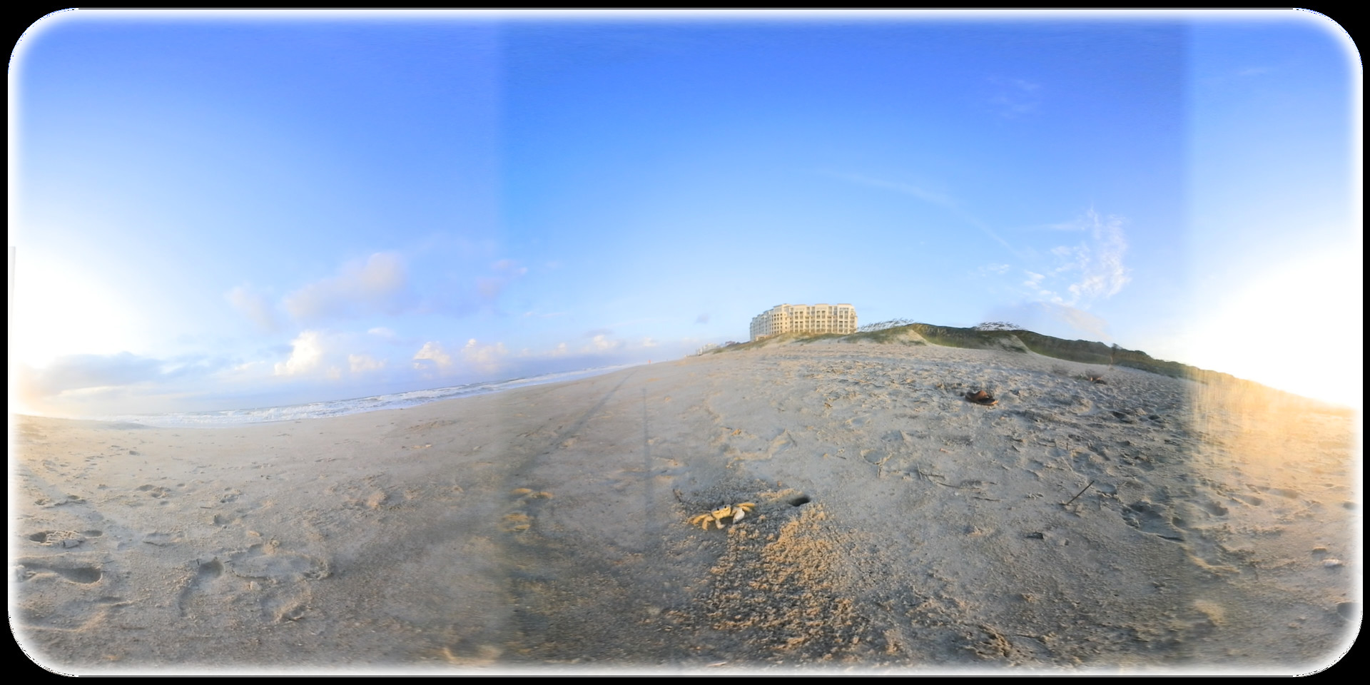 Exhale XR - Aquatic Wildlife #2