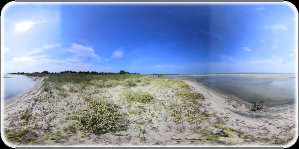 Exhale XR - Joyful Wildlife Exhale XR - Joyful Wildlife