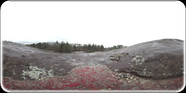 Exhale XR - Foggy Mornings Exhale XR - Foggy Mornings