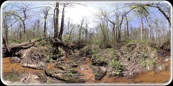 Exhale XR - Woodland Journey Exhale XR - Woodland Journey