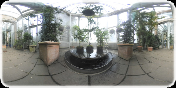 Exhale XR - Bugs Eye View Exhale XR - Bugs Eye View