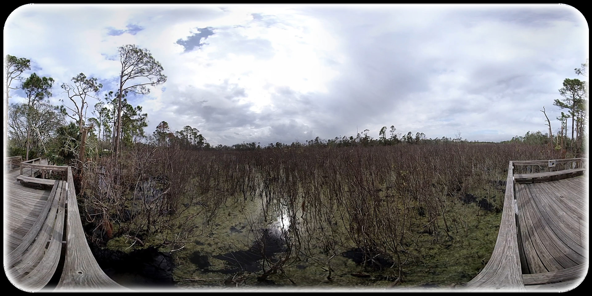 Exhale XR - Graceful Skies #2