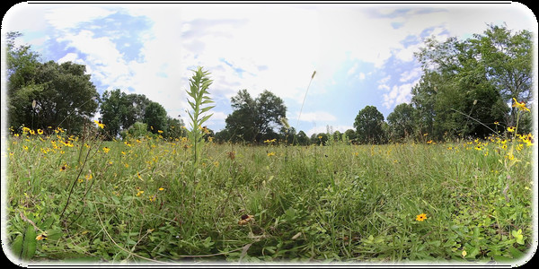 Exhale XR - Graceful Skies Exhale XR - Graceful Skies