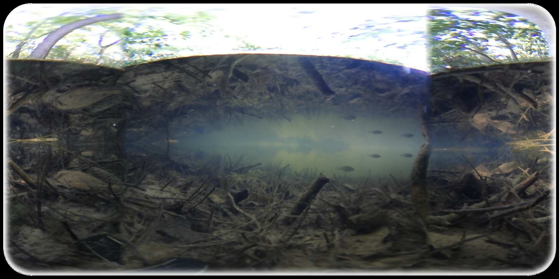 Exhale XR - Magnificent Dream #3