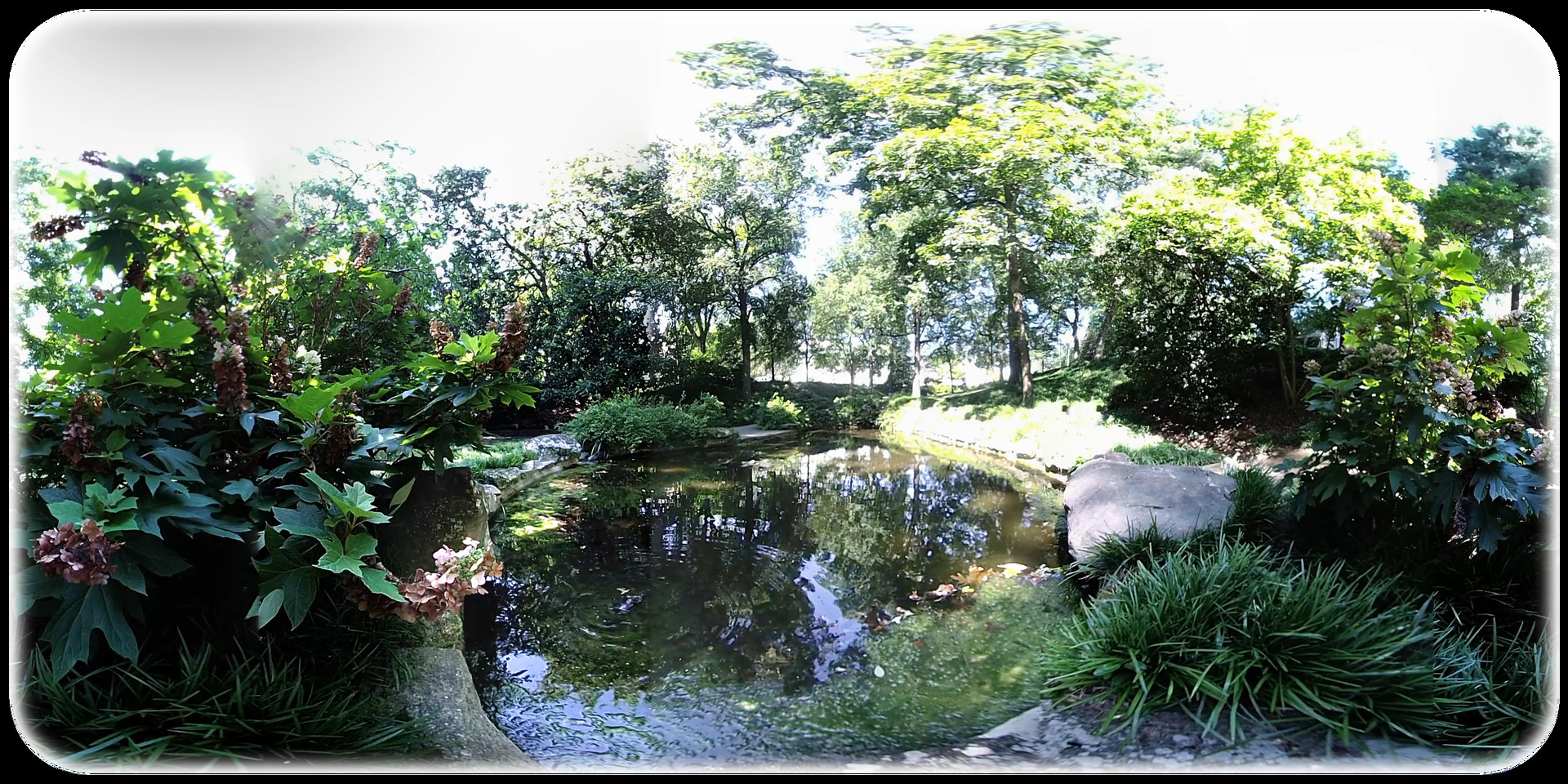 Exhale XR - Splendid Life #3