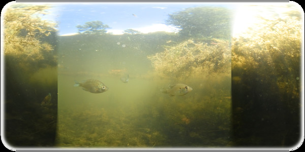 Exhale XR - Underwater Vibes Exhale XR - Underwater Vibes