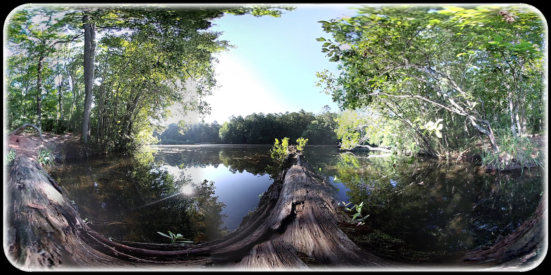 Exhale XR - Solace #2