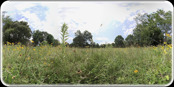 Exhale XR - Solace Exhale XR - Solace