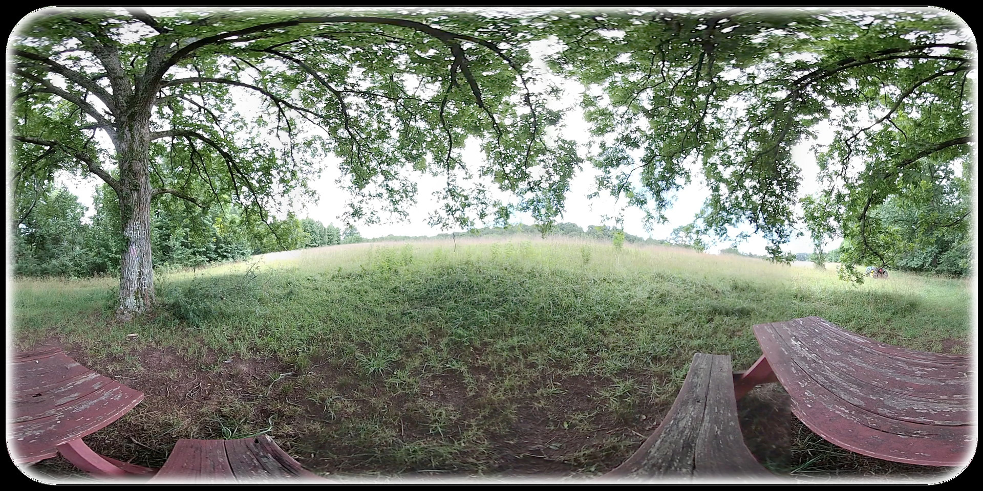 Exhale XR - Solace #3