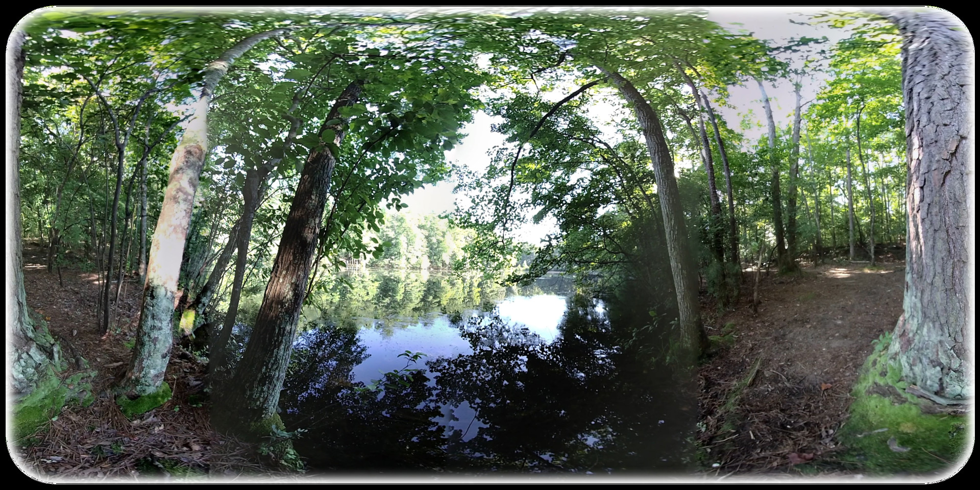 Exhale XR - Nirvana #3