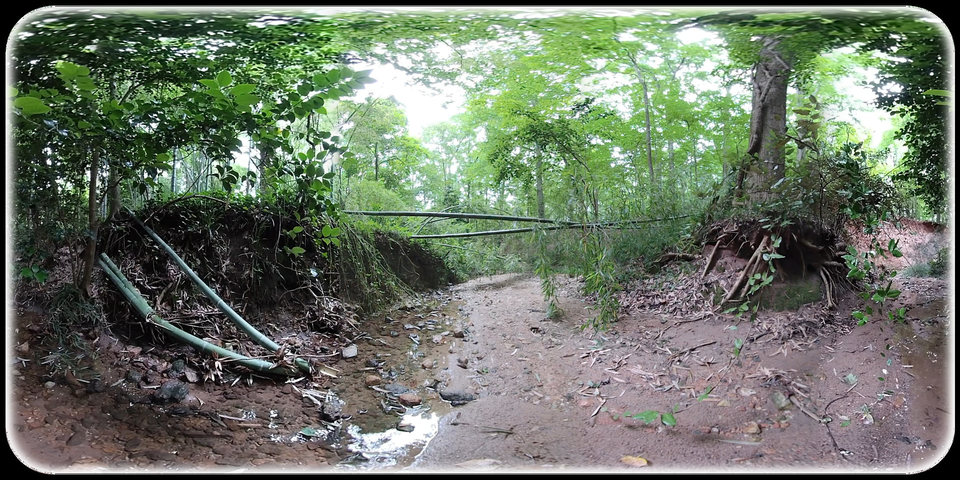 Exhale XR - Nirvana #0