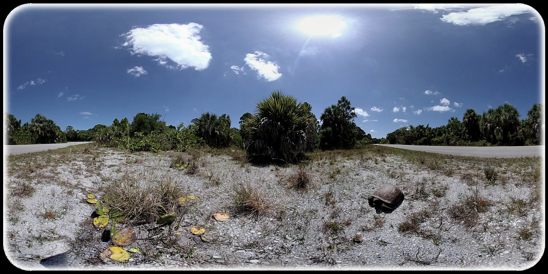 Exhale XR - Critter Watch #3