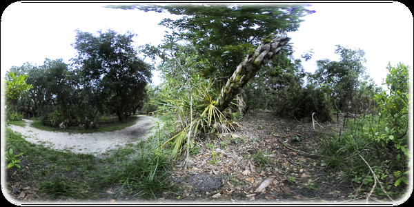 Exhale XR - Critter Watch Exhale XR - Critter Watch