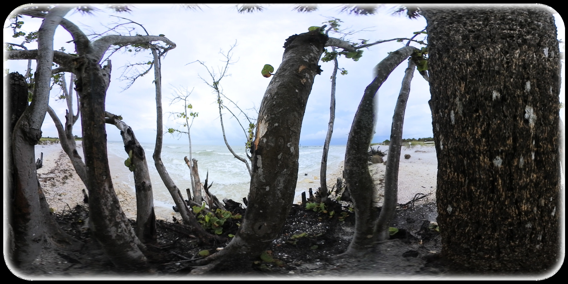 Exhale XR - Soul Shine #0