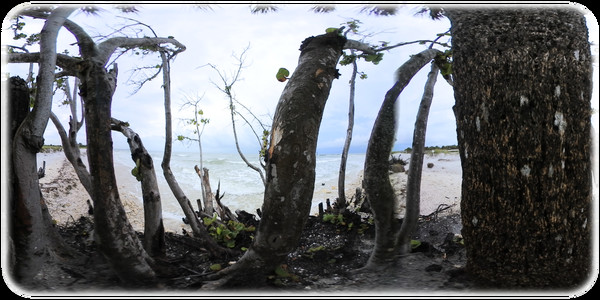 Exhale XR - Soul Shine Exhale XR - Soul Shine