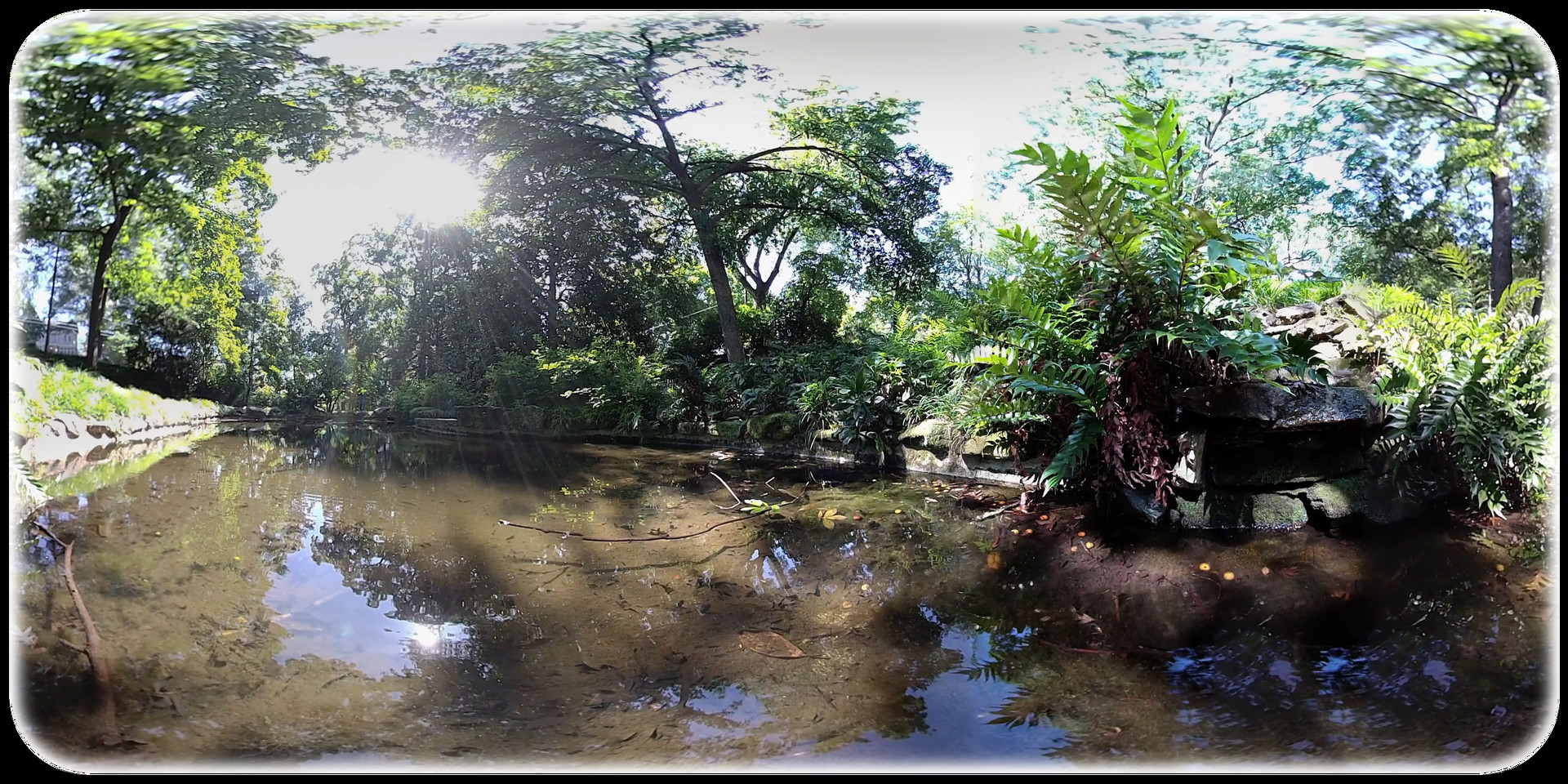 Exhale XR - Soul Shine #2