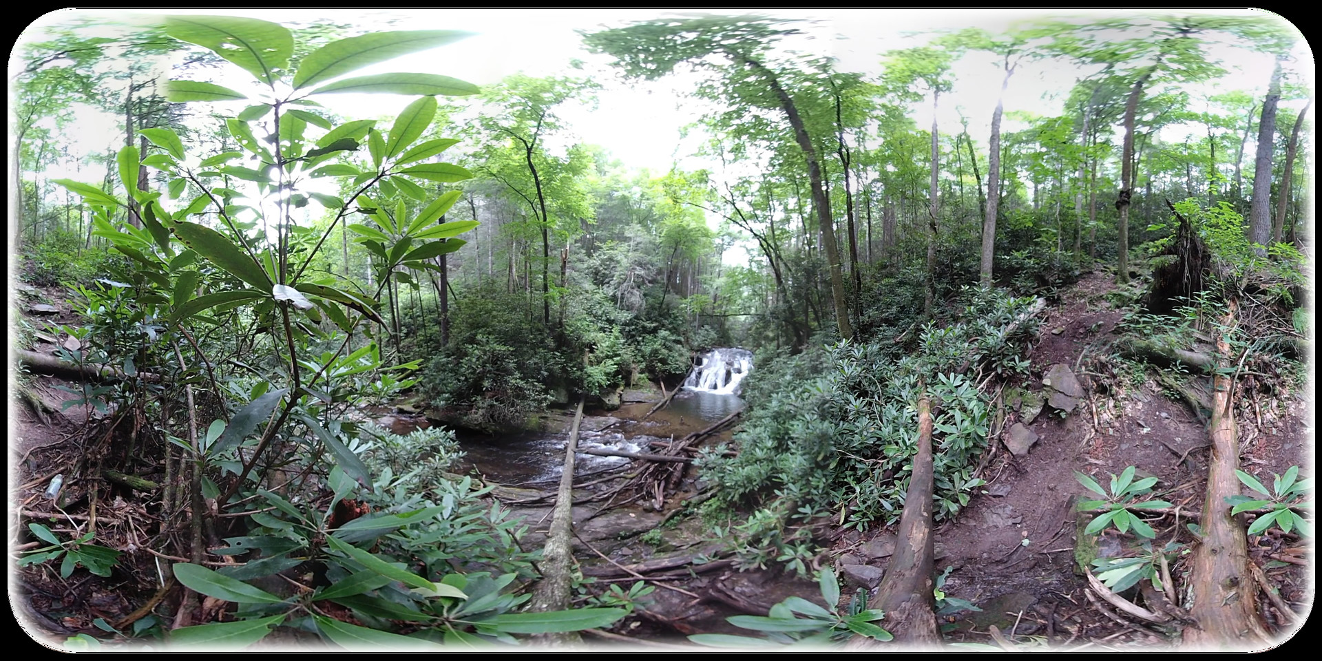 Exhale XR - Trail to Calm PC gameplay screenshot 2 of 3