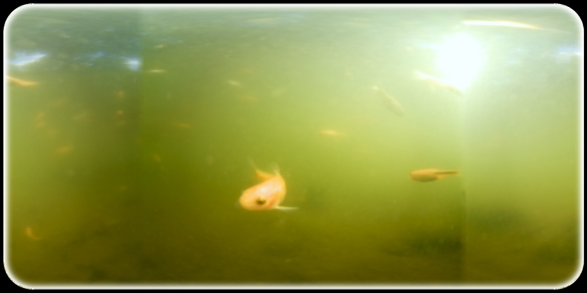 Exhale XR - Waters Magic PC gameplay screenshot 3 of 3