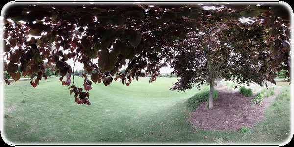 Exhale XR - Natures Kiss Exhale XR - Natures Kiss