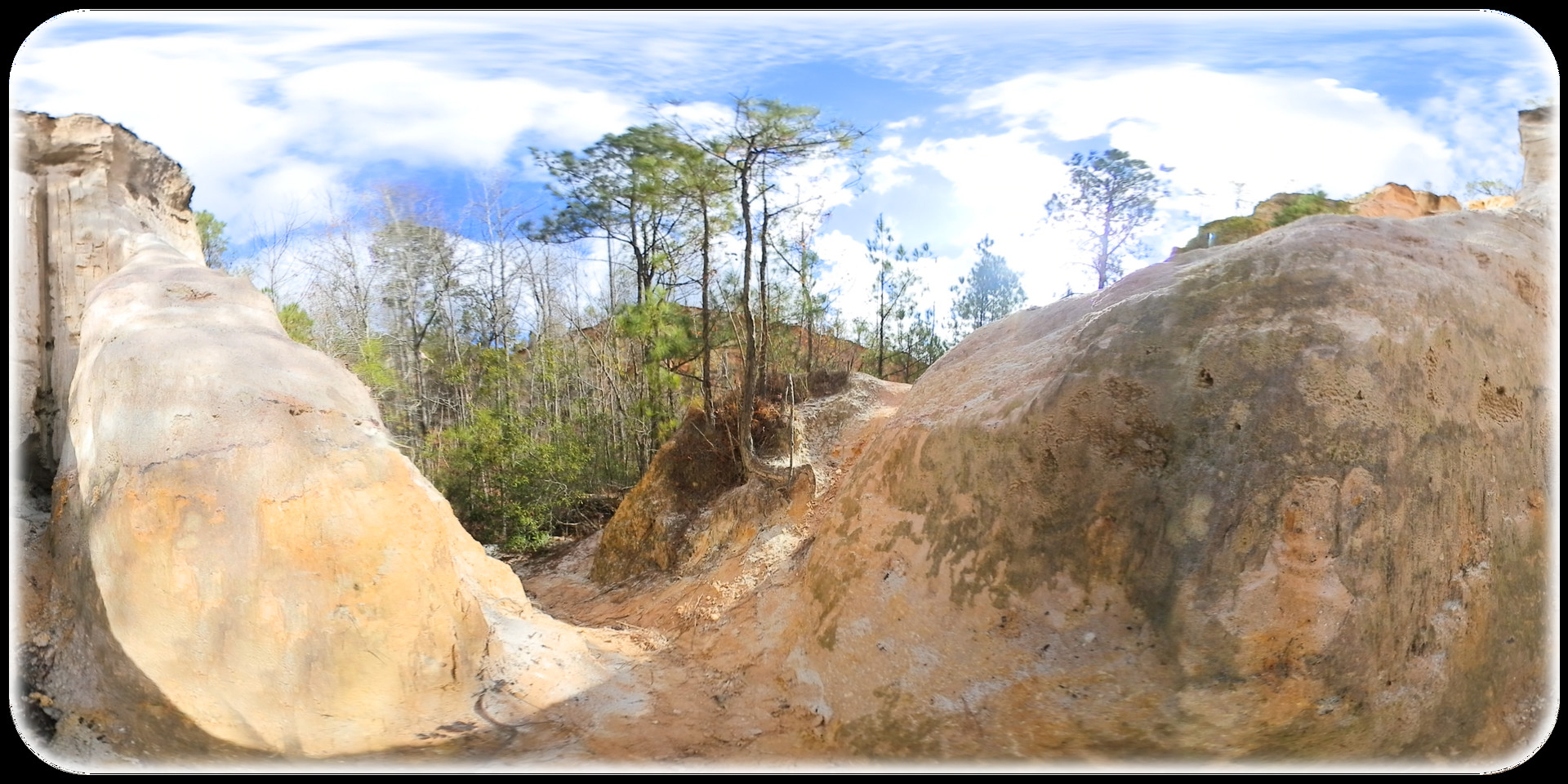 Exhale XR - Natures Kiss PC gameplay screenshot 4 of 4