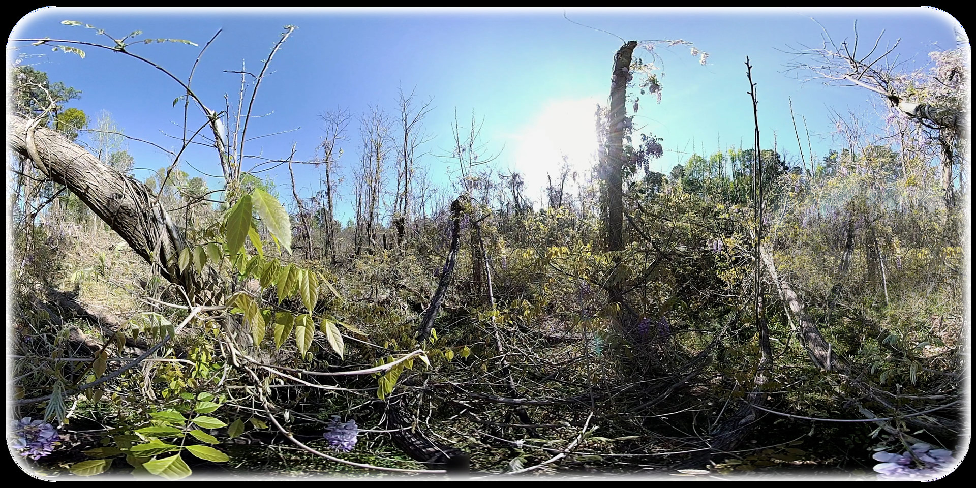 Exhale XR - Country Dreams PC gameplay screenshot 3 of 3