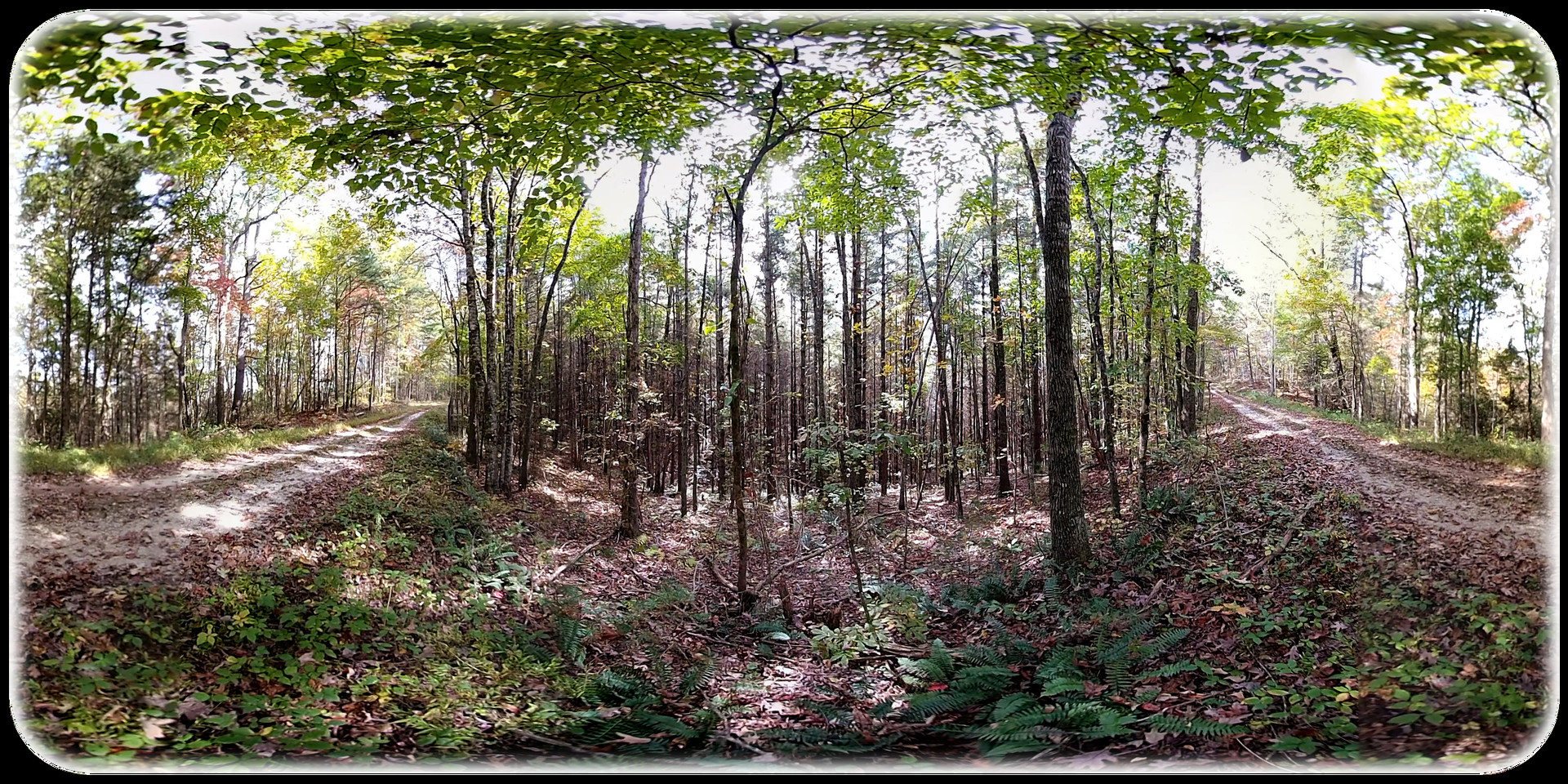 Exhale XR - Earth's Kisses #3