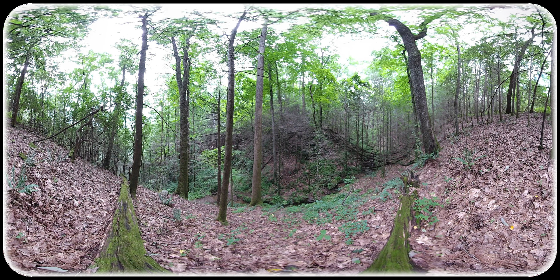 Exhale XR - Good Day Vibes #0