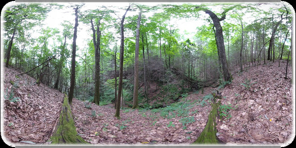 Exhale XR - Good Day Vibes Exhale XR - Good Day Vibes