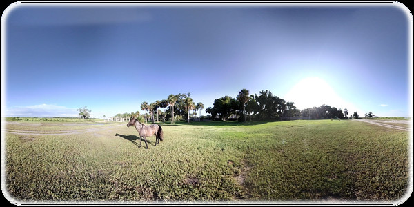 Exhale XR - Majestic Creatures Exhale XR - Majestic Creatures