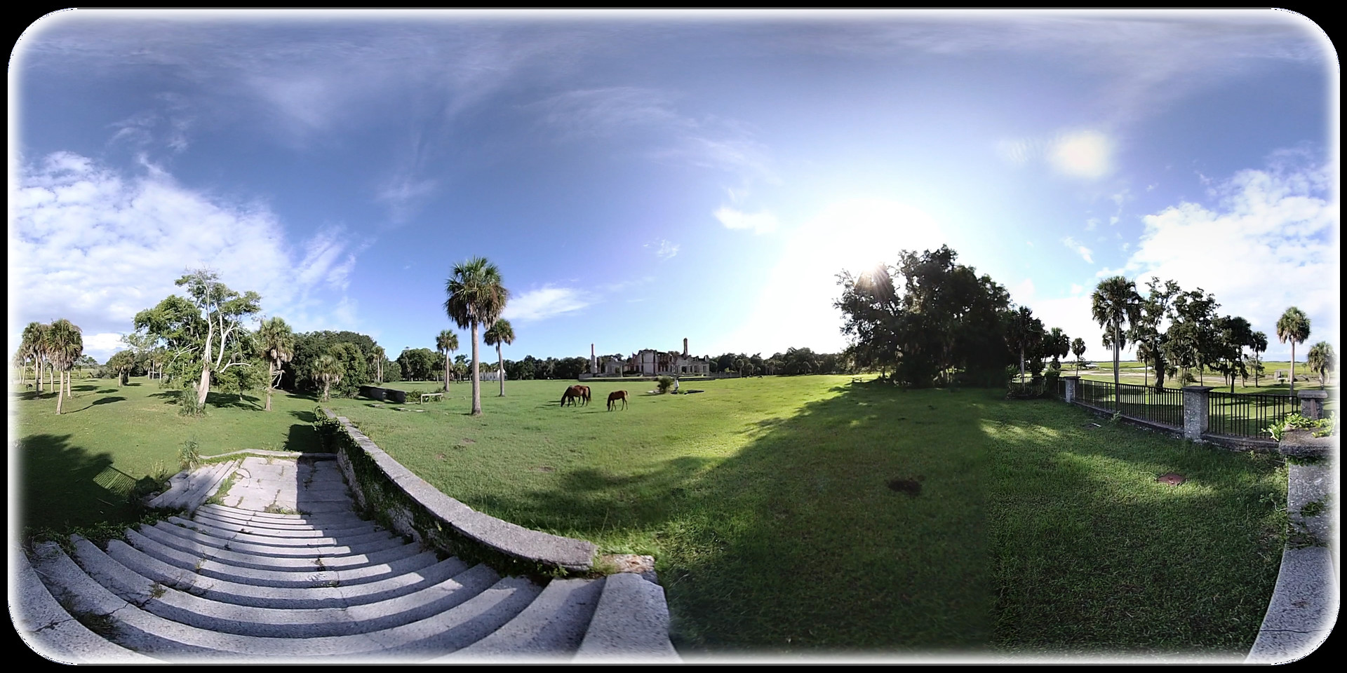 Exhale XR - Majestic Creatures PC gameplay screenshot 2 of 3
