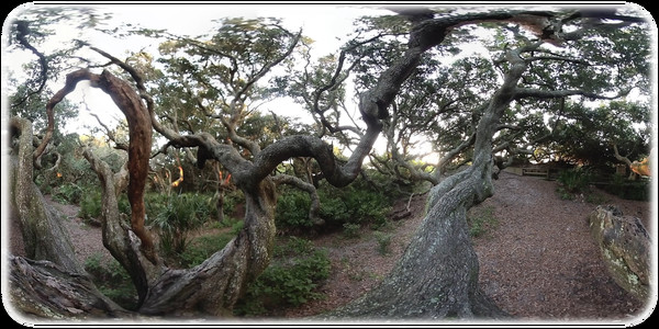 Exhale XR - One Exhale XR - One