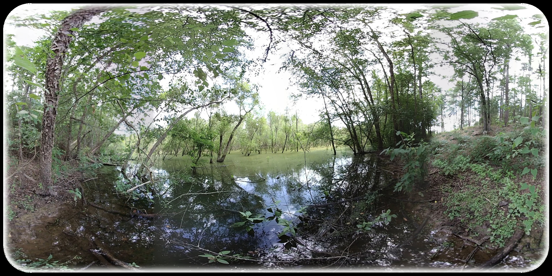 Exhale XR - Caress of Nature #0