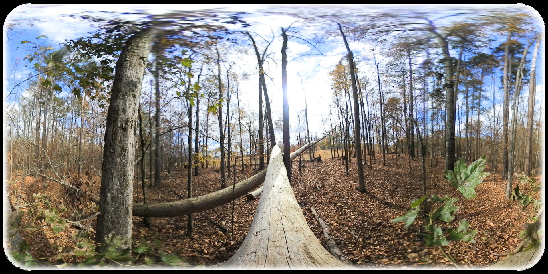 Exhale XR - Becoming - Spoken Word #3