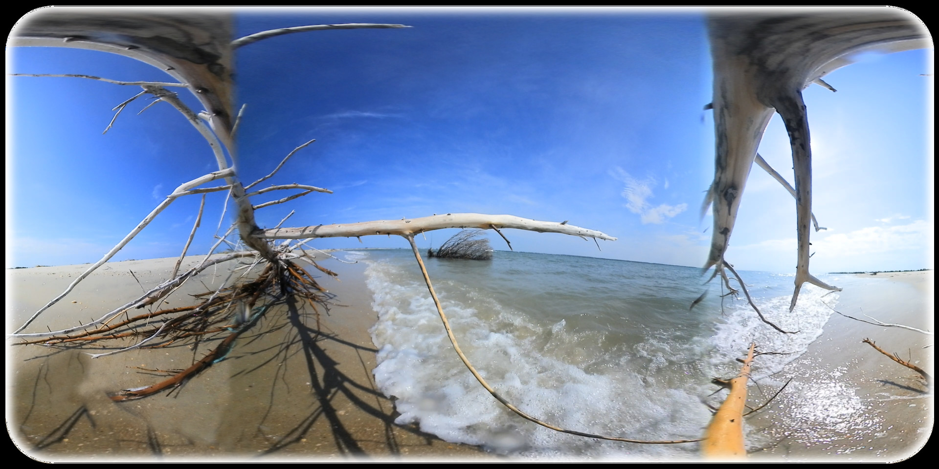 Exhale XR - I Am Alive - Spoken Word #0