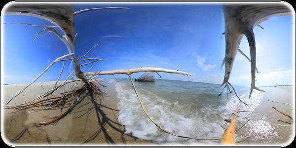 Exhale XR - I Am Alive - Spoken Word Exhale XR - I Am Alive - Spoken Word