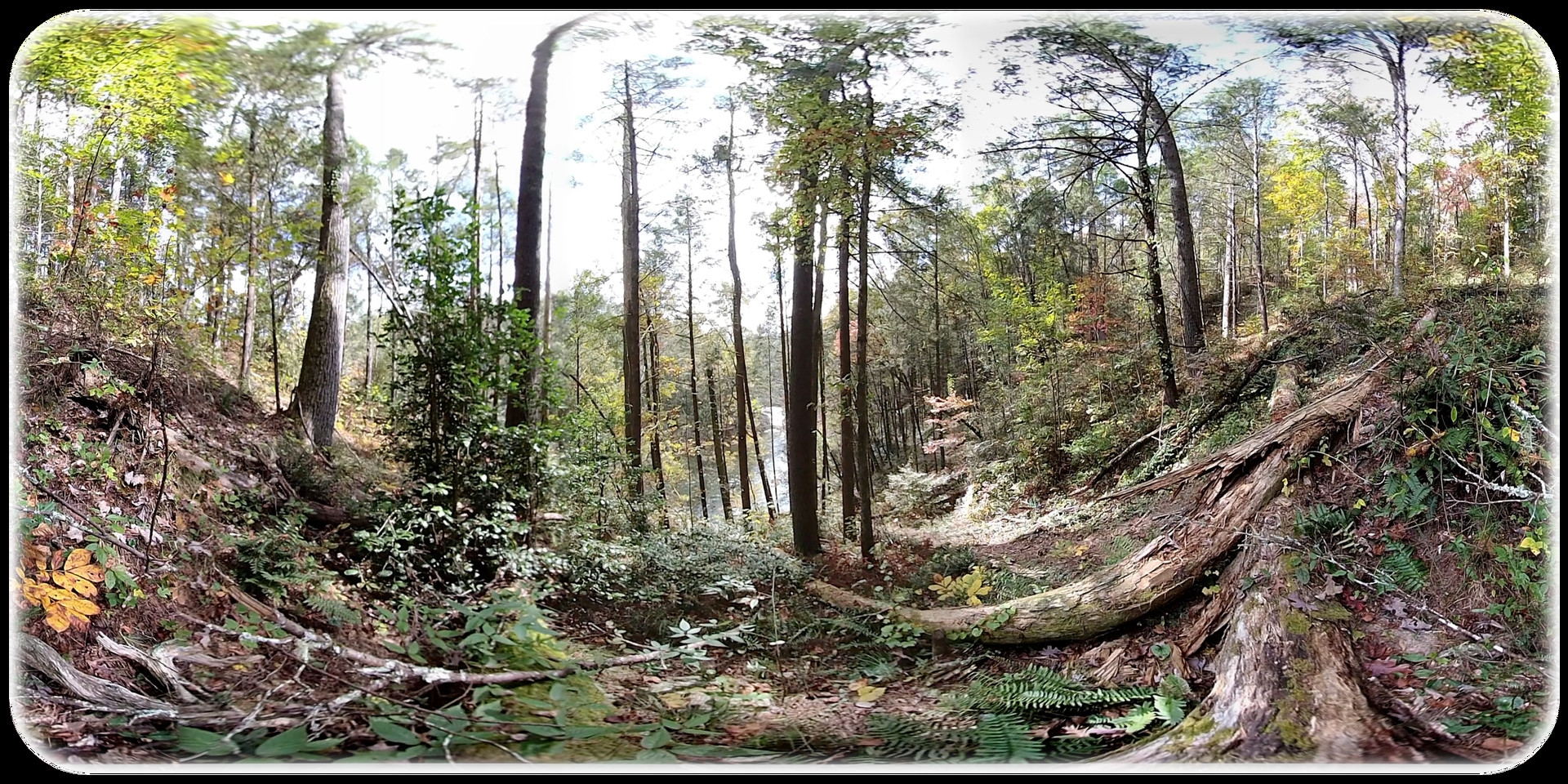 Exhale XR - Fortitude - Spoken Word #2