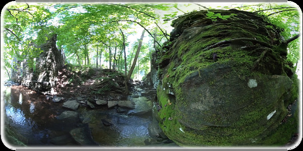 Exhale XR - Fortitude - Spoken Word Exhale XR - Fortitude - Spoken Word